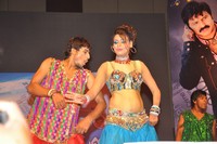 Srimannarayana Audio Release Photos